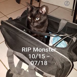 Meet your Posher, Twyla